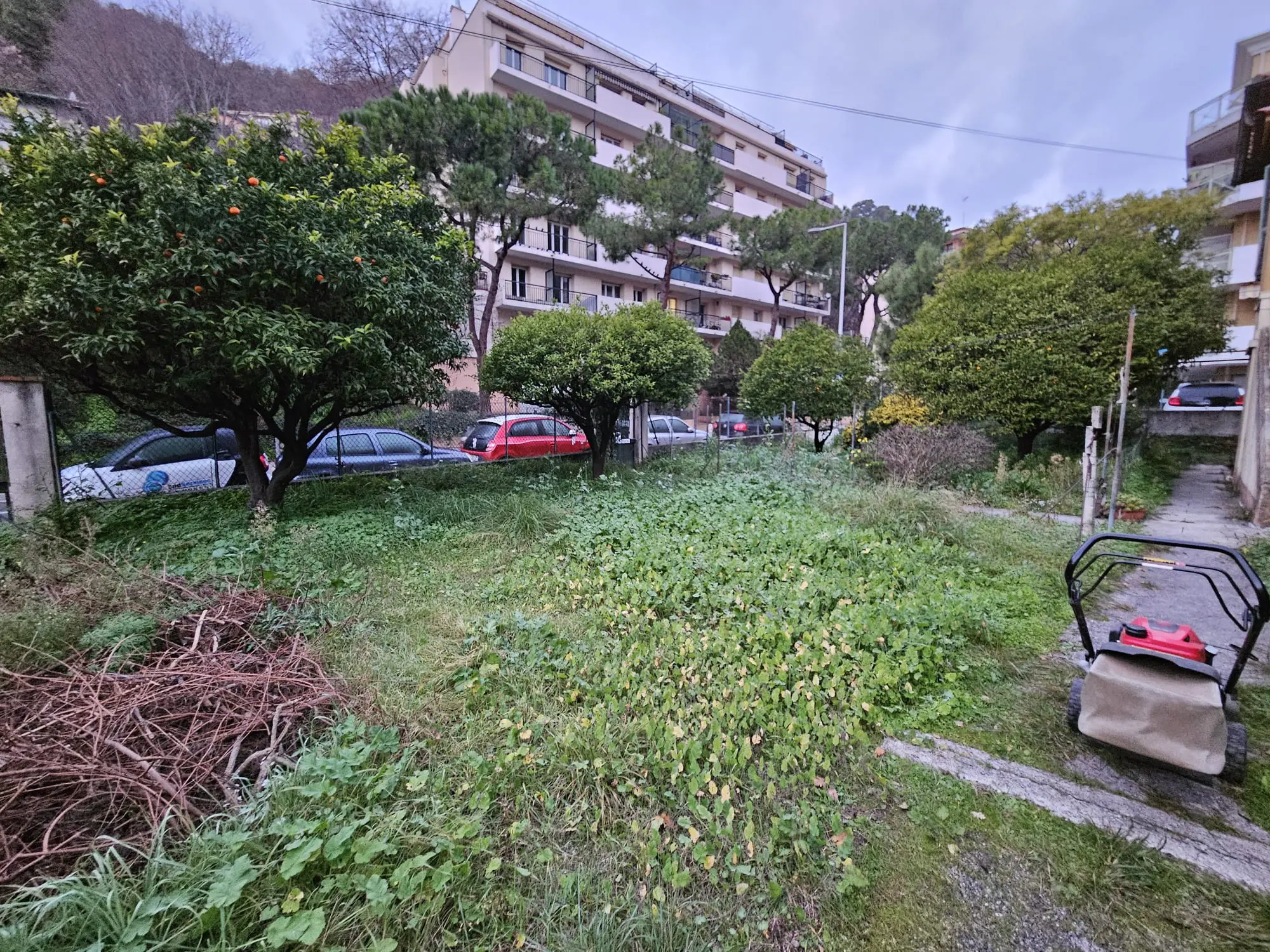jardin1