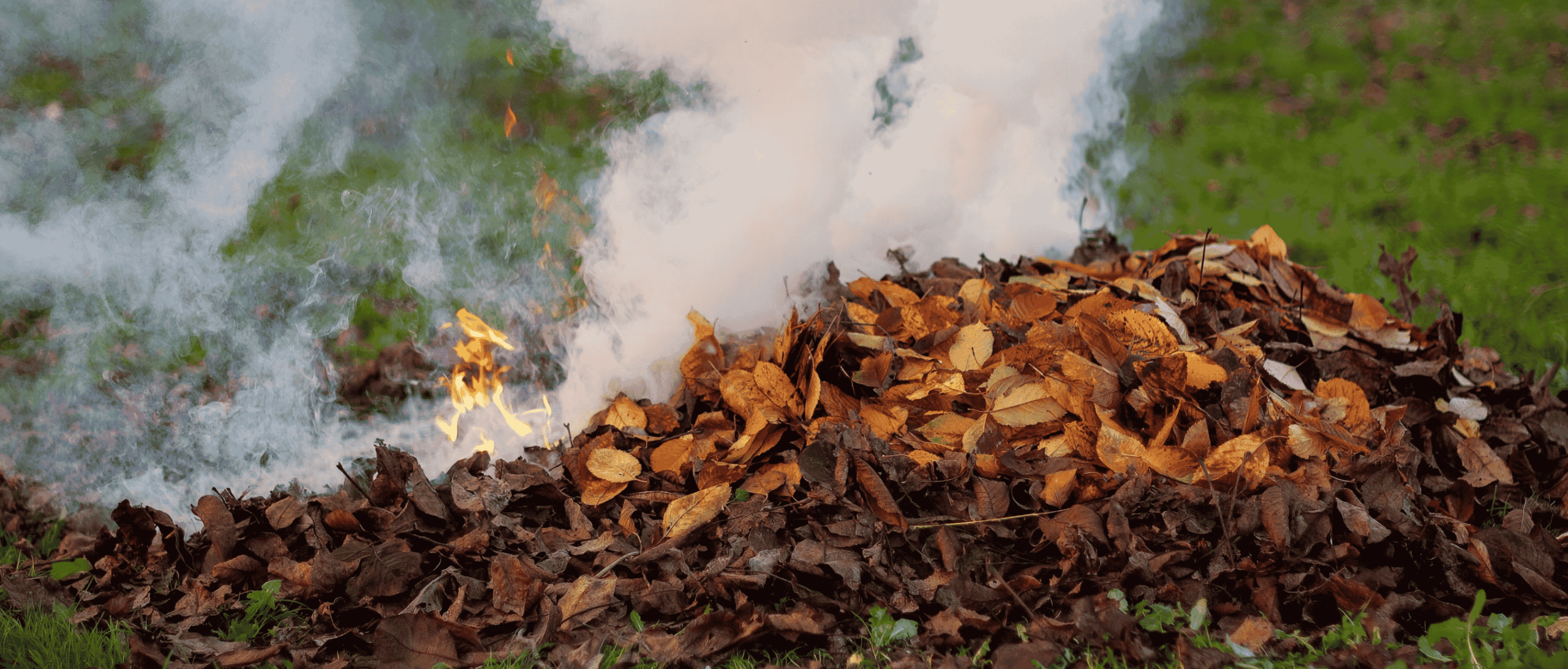 jardin en feu