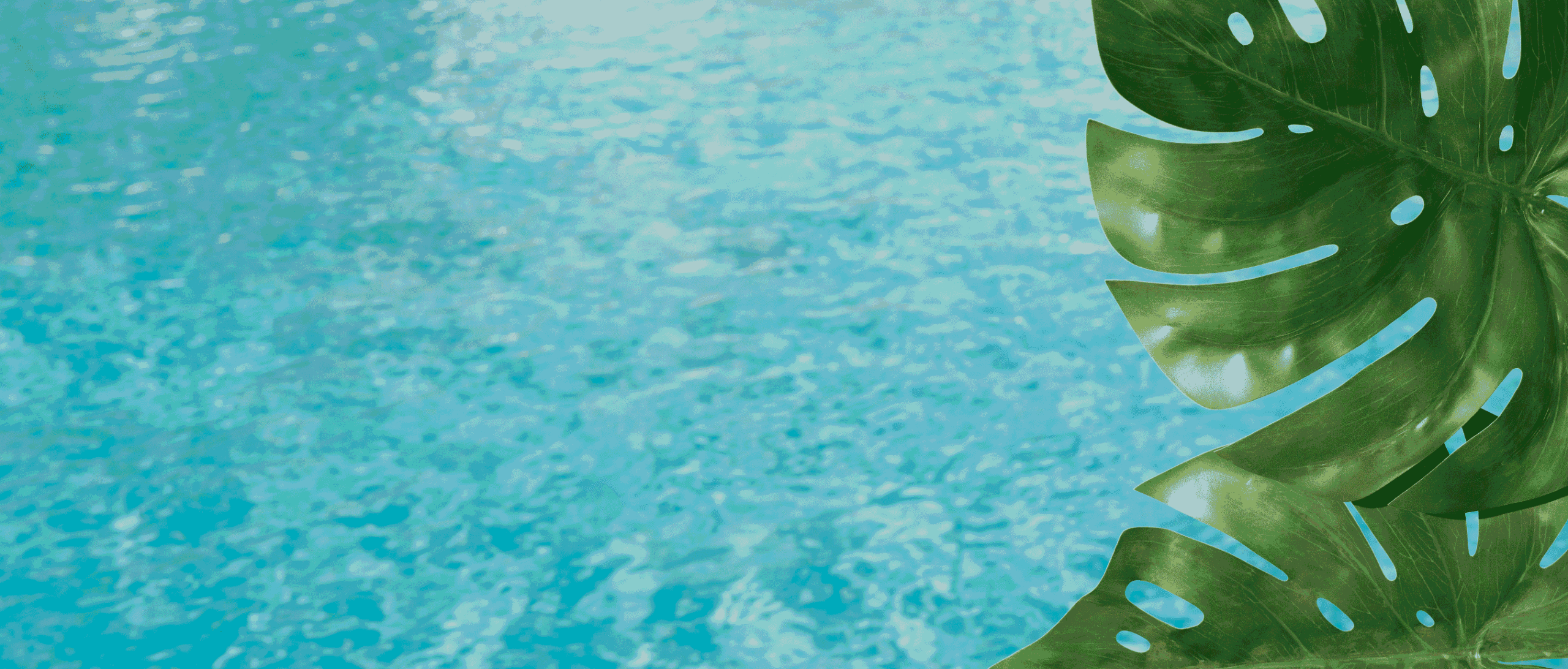plantes autour d'une piscine