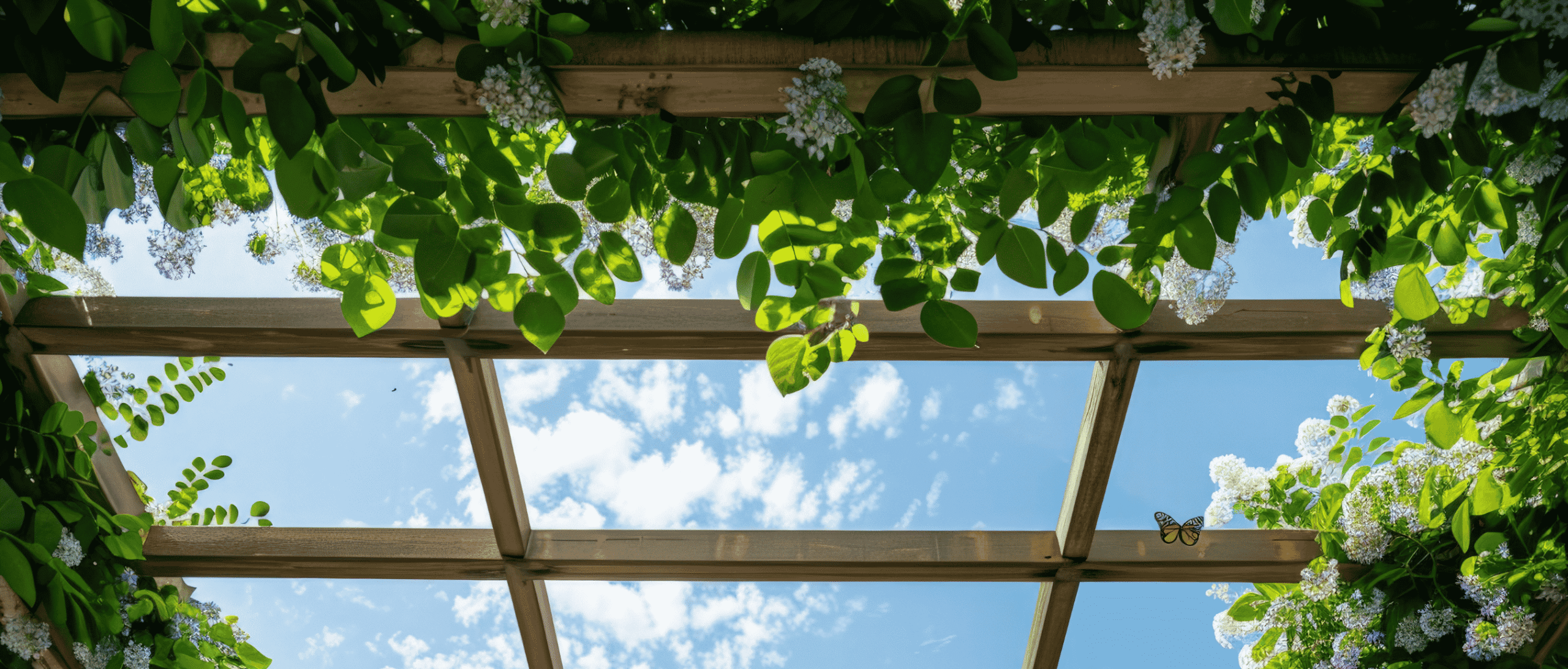 pergola végétale
