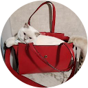 Catherine Becchetti profile picture