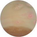 Sacha Belliart profile picture